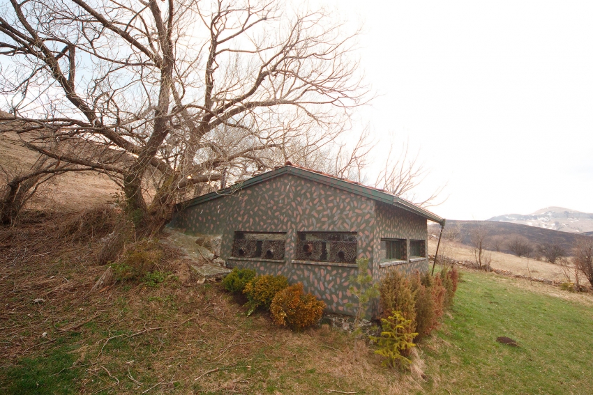 Ponor Eagle hide