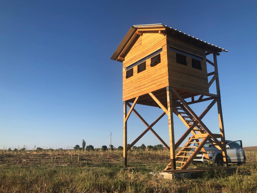 Big tower photohide